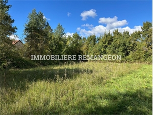 terrain à la vente -   41300  ORCAY, surface 982 m2 vente terrain - UBI441260846